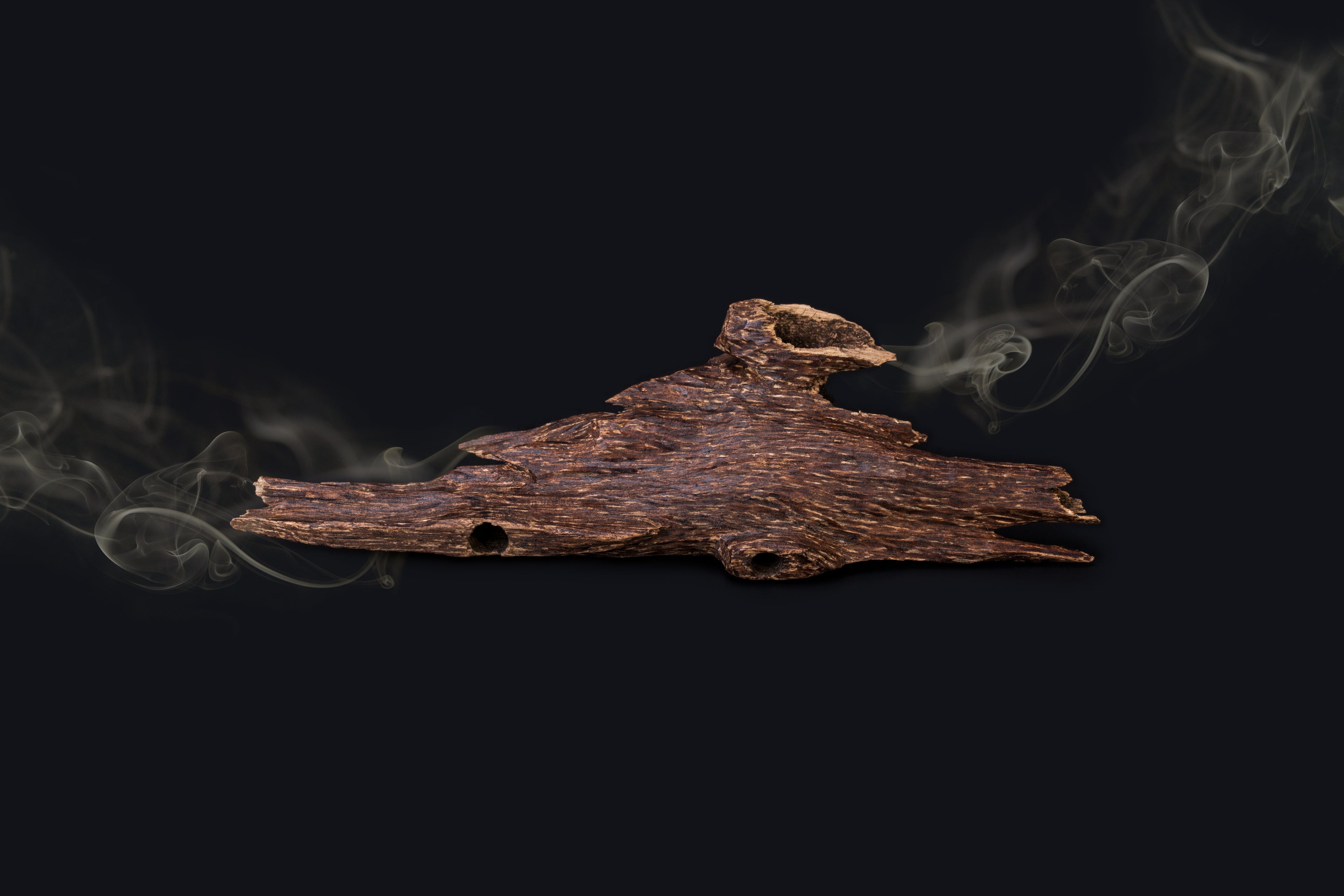 Agarwood and its Alluring Smoke